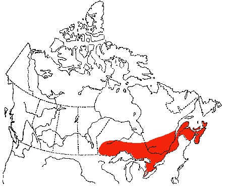 Map of Black-throated Blue Warbler in Canada