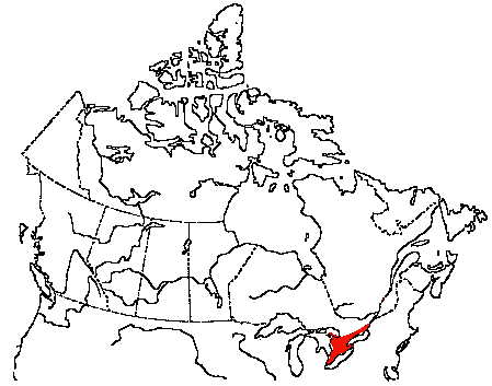 Map of Cerulean Warbler in Canada