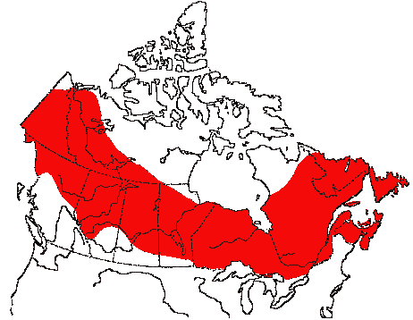 Map of Yellow-rumped Warbler in Canada