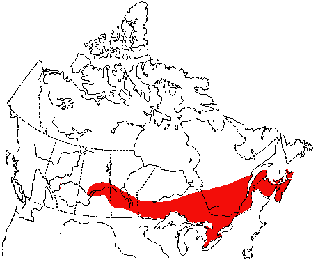 Map of Blackburnian Warbler in Canada