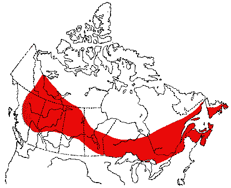 Map of Magnolia Warbler in Canada