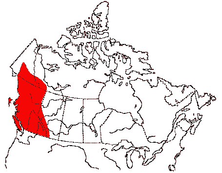 Map of Blue Grouse in Canada