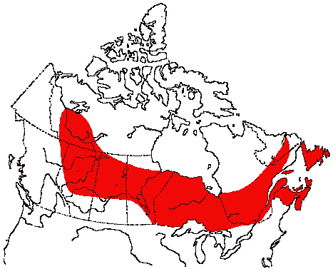 Map of Palm Warbler in Canada