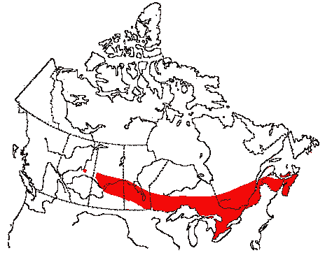 Map of Chestnut-sided Warbler in Canada