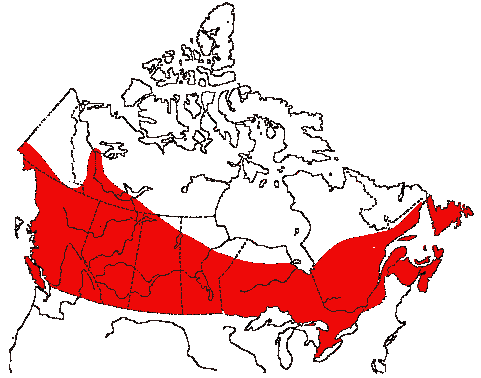 Map of Downy Woodpecker in Canada