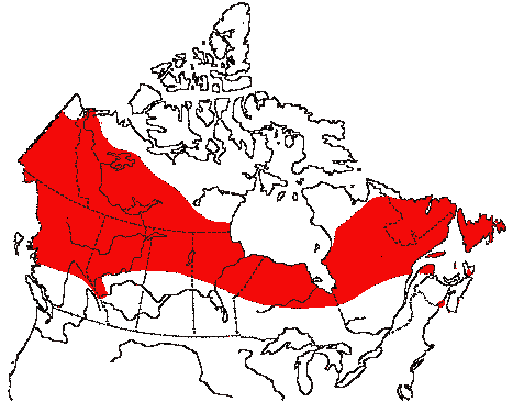 Map of Blackpoll Warbler in Canada