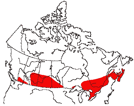 Map of Bobolink in Canada