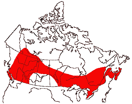 Map of Pileated Woodpecker in Canada