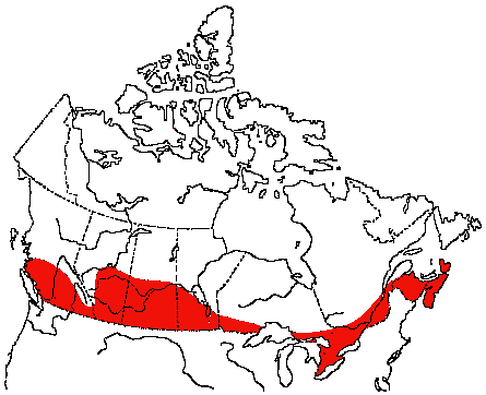 Map of Gray Catbird in Canada