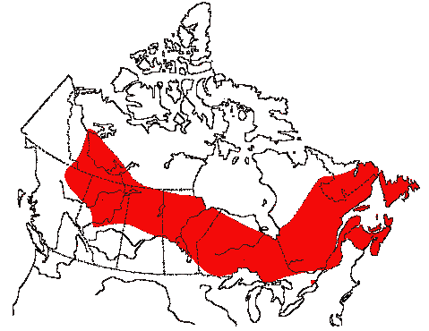 Map of Yellow-bellied Flycatcher in Canada