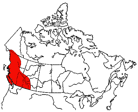 Map of Hammond's Flycatcher in Canada