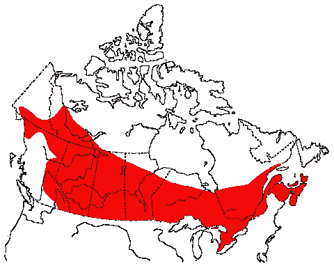 Map of Least Flycatcher in Canada