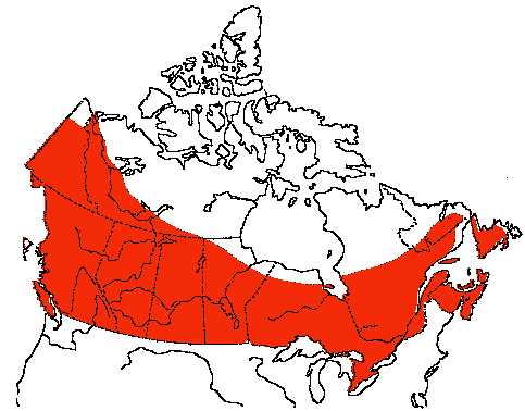 Map of Alder Flycatcher in Canada