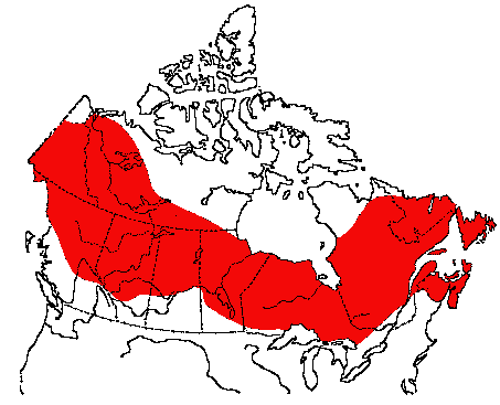 Map of Rusty Blackbird in Canada