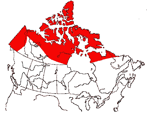 Map of Gyrfalcon in Canada