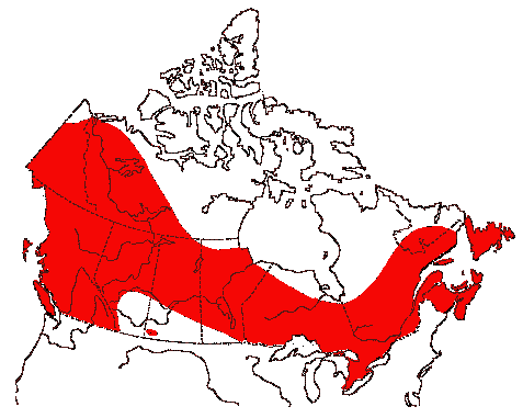 Map of Bald Eagle in Canada