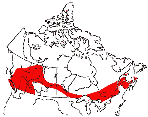 Map of Evening Grosbeak in Canada