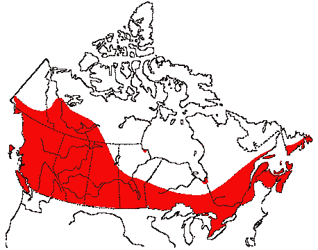 Map of Barn Swallow in Canada