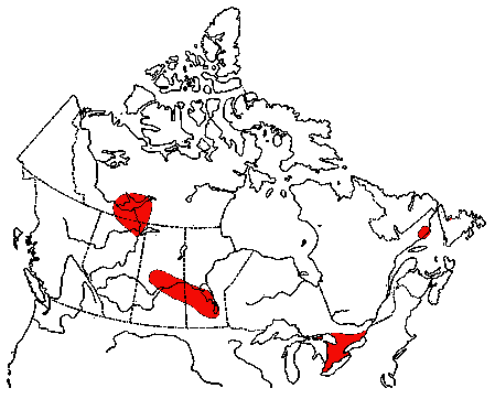 Map of Caspian Tern in Canada