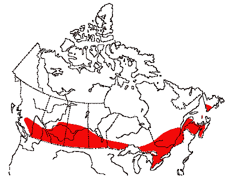 Map of Veery in Canada