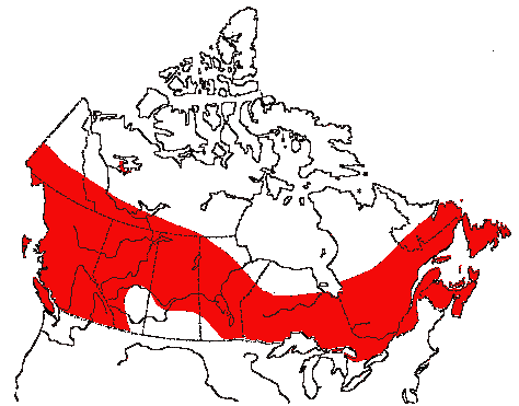 Map of Hermit Thrush in Canada