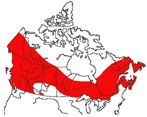 Map of Swainson's Thrush in Canada