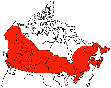 Map of Tree Swallow in Canada