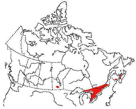 Map of Least Bittern in Canada