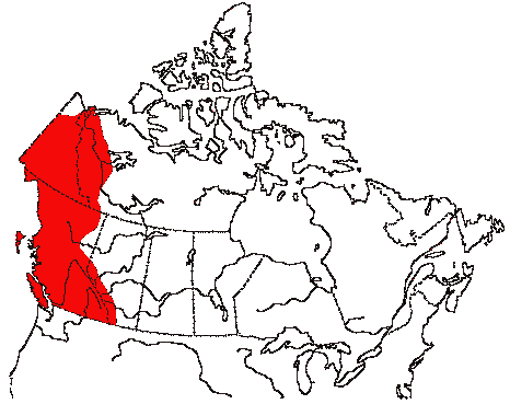 Map of Varied Thrush in Canada