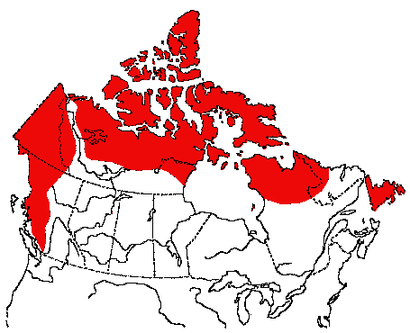 Map of Rock Ptarmigan in Canada