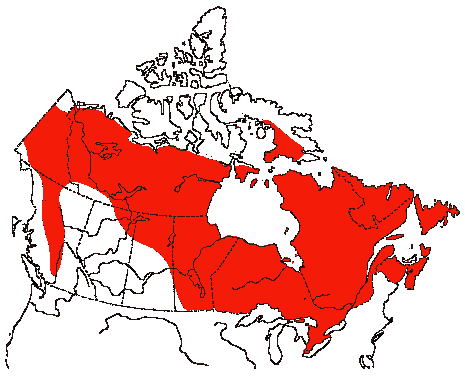 Map of Herring Gull in Canada