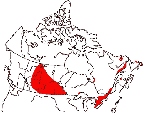 Map of Ring-billed Gull in Canada
