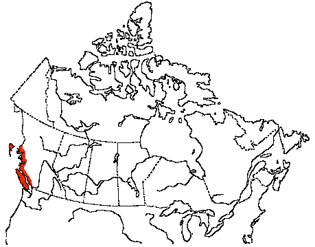 Map of Glaucous-winged Gull in Canada