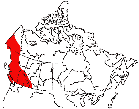 Map of Rosy Finch in Canada