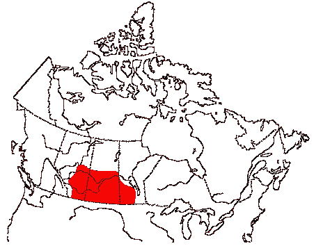 Map of Marbled Godwit in Canada