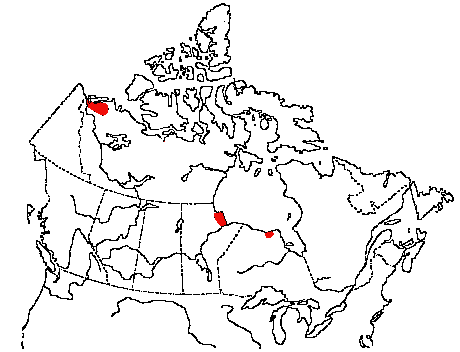 Map of Hudsonian Godwit in Canada