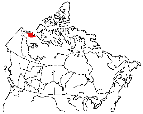 Map of Long-billed Dowitcher in Canada