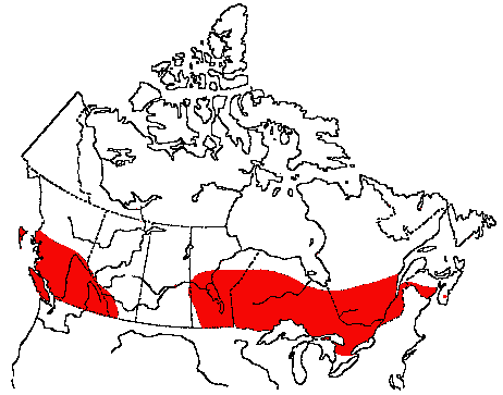 Map of Hooded Merganser in Canada