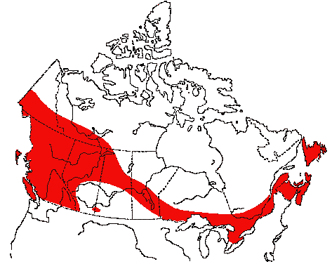 Map of Red Crossbill in Canada