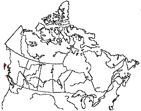 Map of Tufted Puffin in Canada