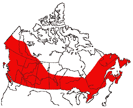 Map of Belted Kingfisher in Canada