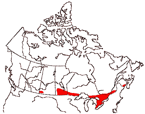 Map of Red-headed Woodpecker in Canada