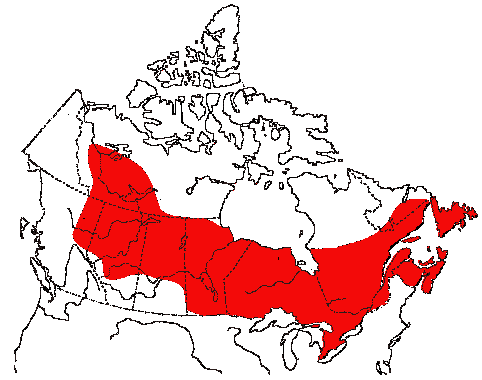 Map of Swamp Sparrow in Canada