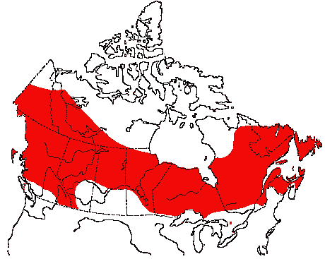 Map of Lincoln's Sparrow in Canada