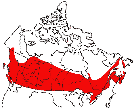 Map of Song Sparrow in Canada
