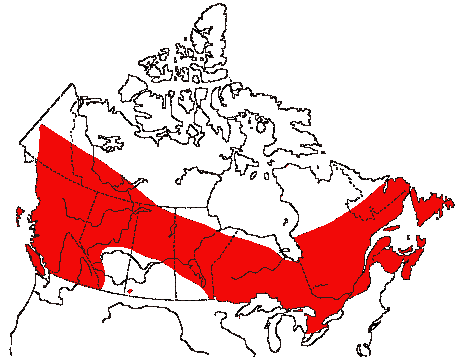 Map of Common Merganser in Canada