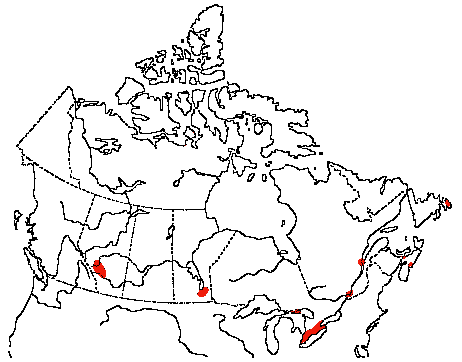 Map of Northern Mockingbird in Canada