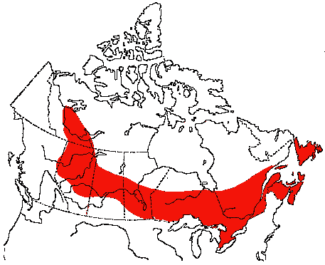 Map of Black-and-white Warbler in Canada