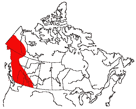 Map of Townsend's Solitaire in Canada