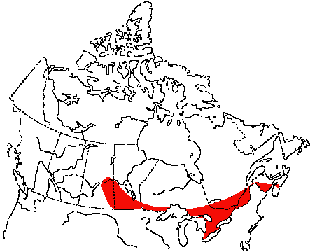 Map of Great Crested Flycatcher in Canada